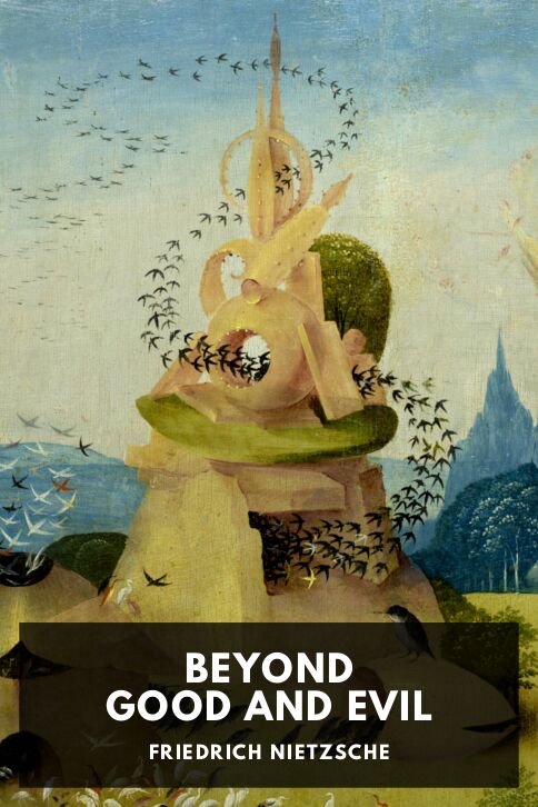 Beyond Good and Evil 표지